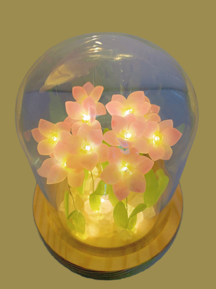 Heat shrink wind and rain orchid night light material package diy tulip lily orchid flower photo frame creative birthday gift