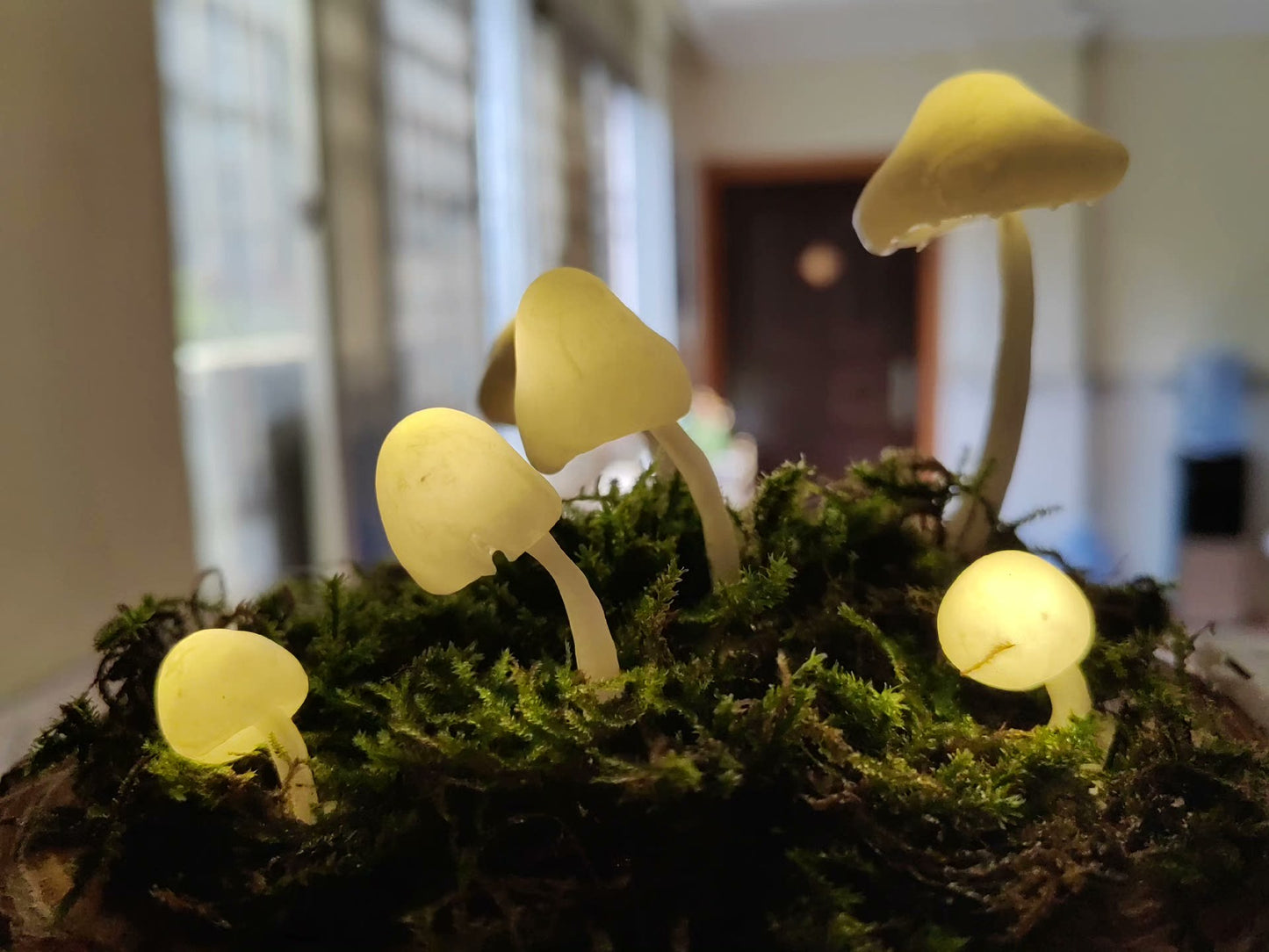 Fresh Moss Mushroom Lamp