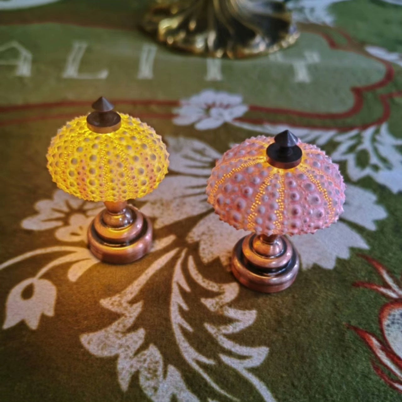 Out of the picture homemade sea urchin lamp