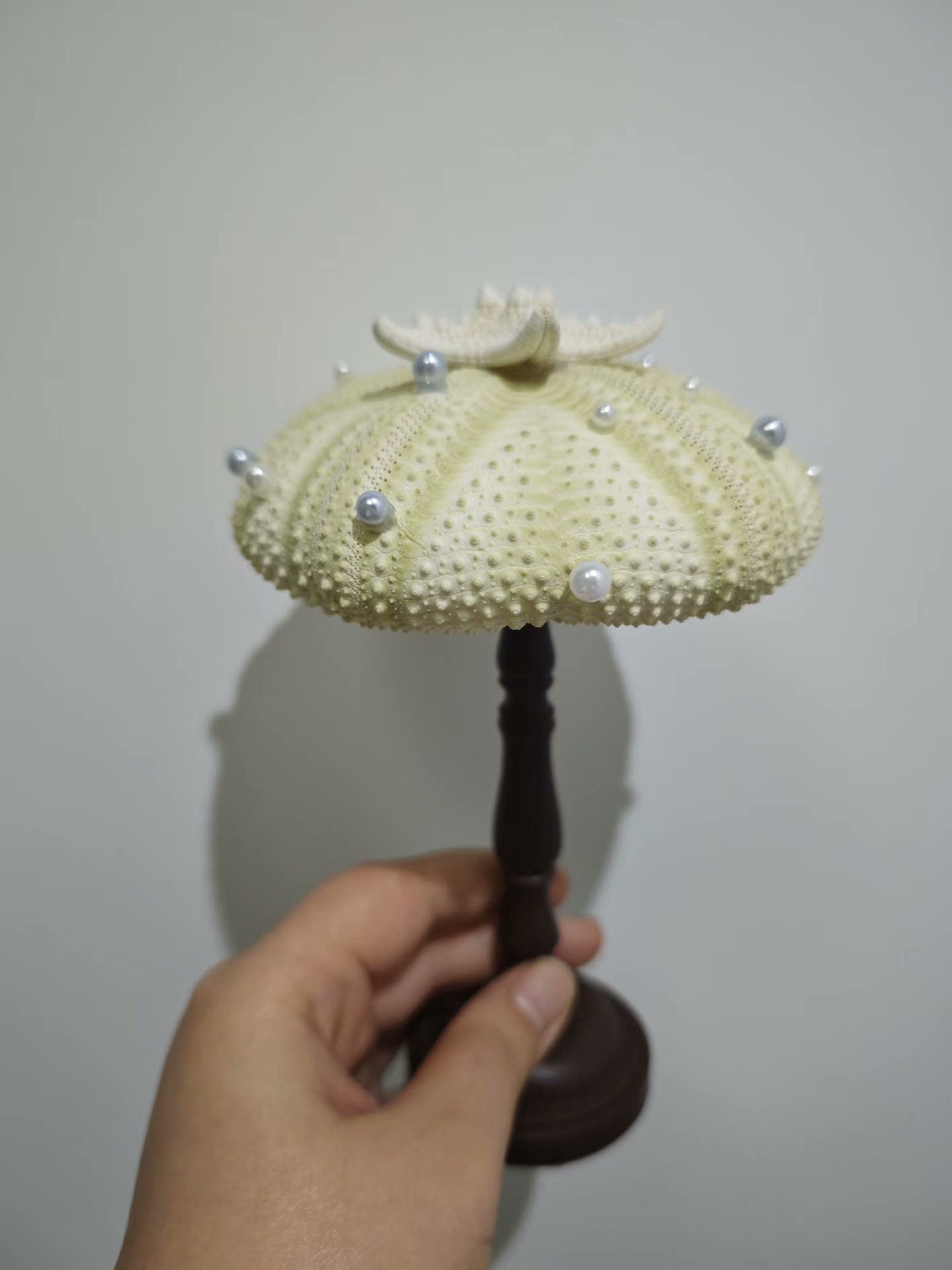 Out of the picture of the homemade sea urchin lamp, warm and beautiful night!