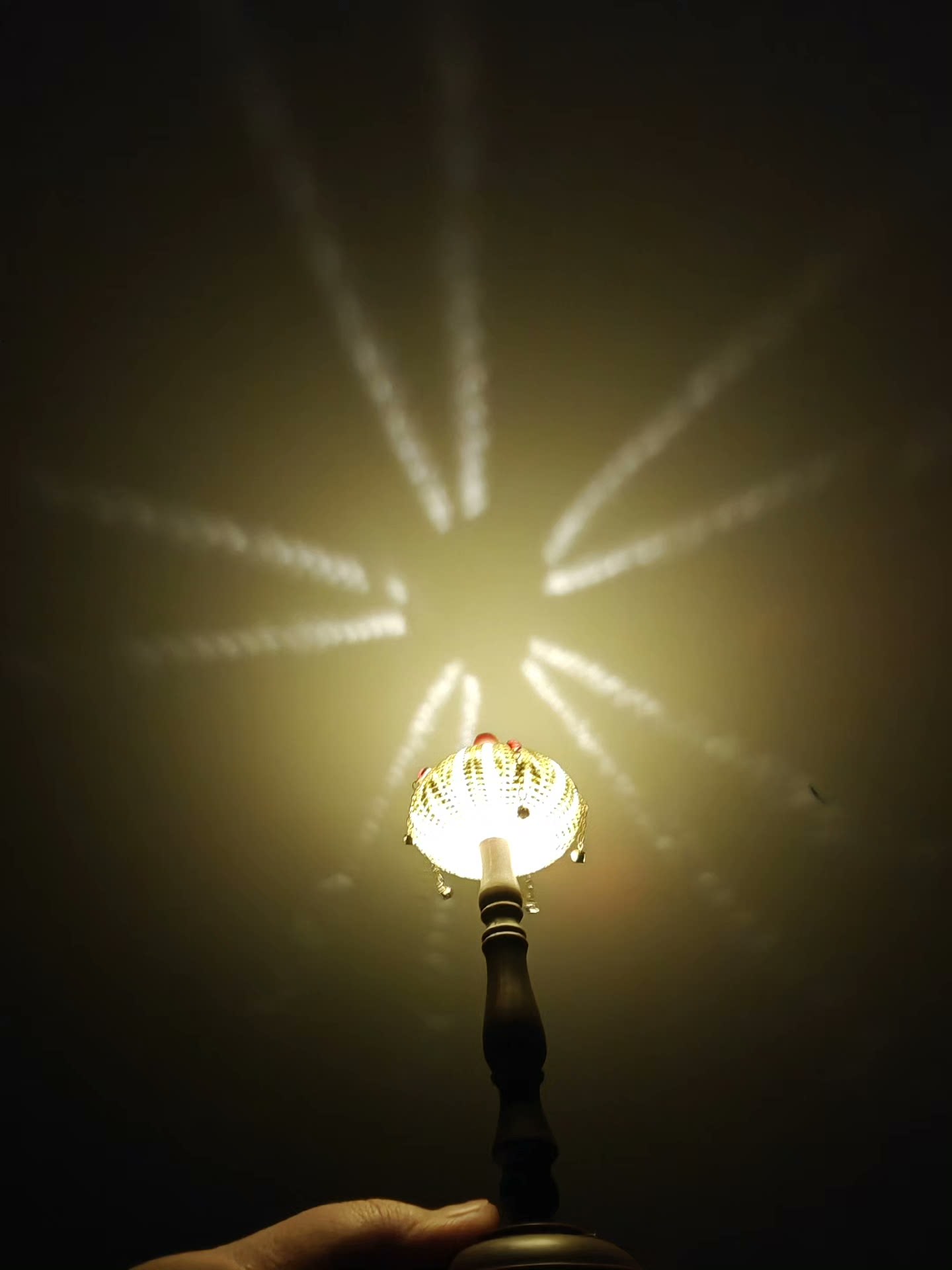 Out of the picture homemade sea urchin lamp