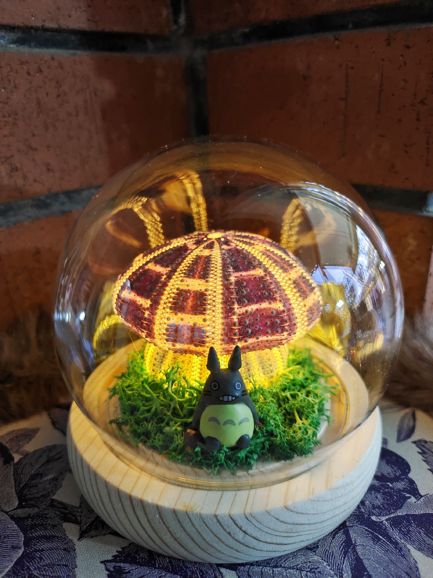 Ball light ➕ two layers of sea urchins ➕ starfish small conch shells (two layers of material package)