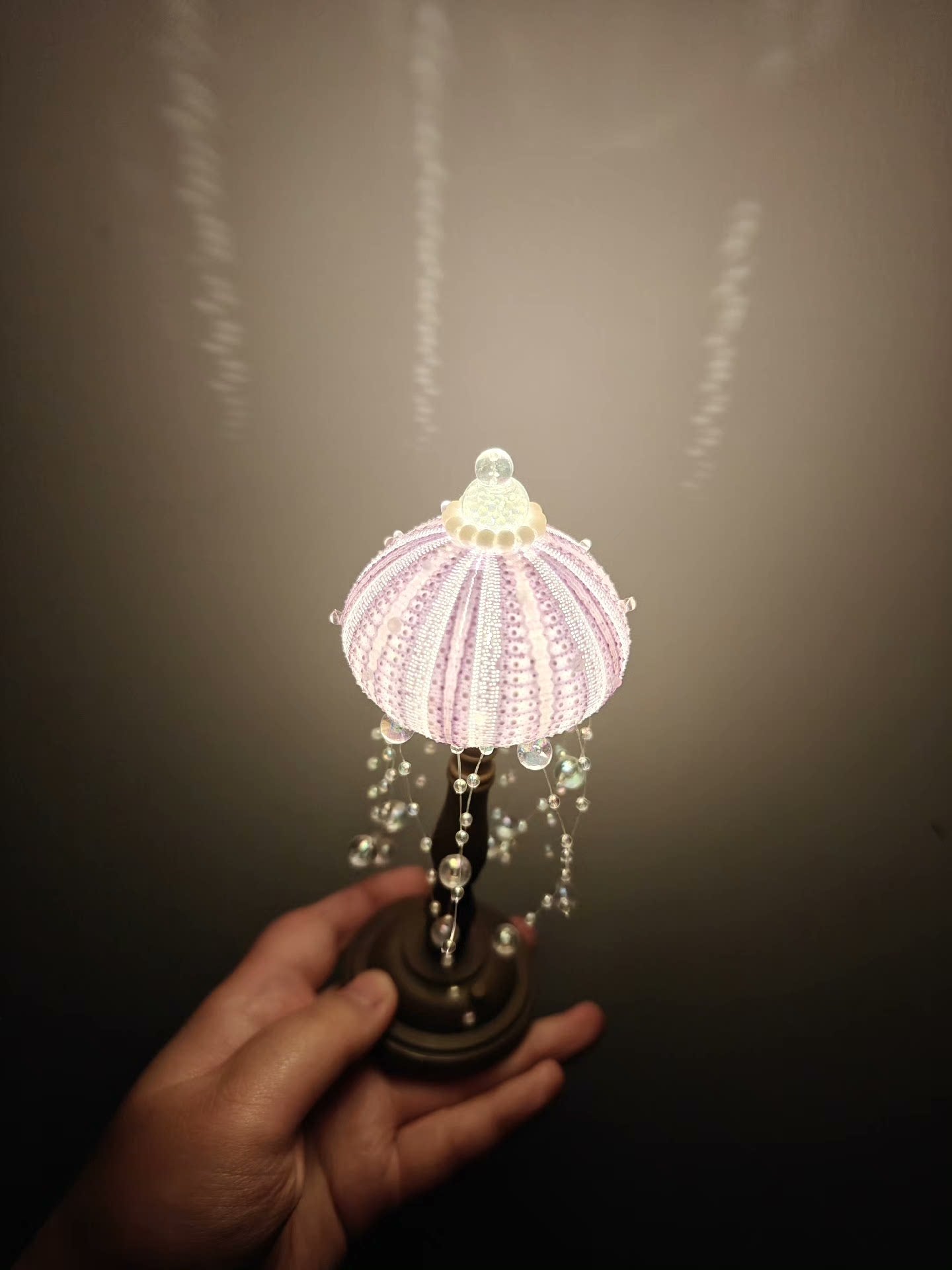 Out of the picture of the homemade sea urchin lamp, warm and beautiful night.