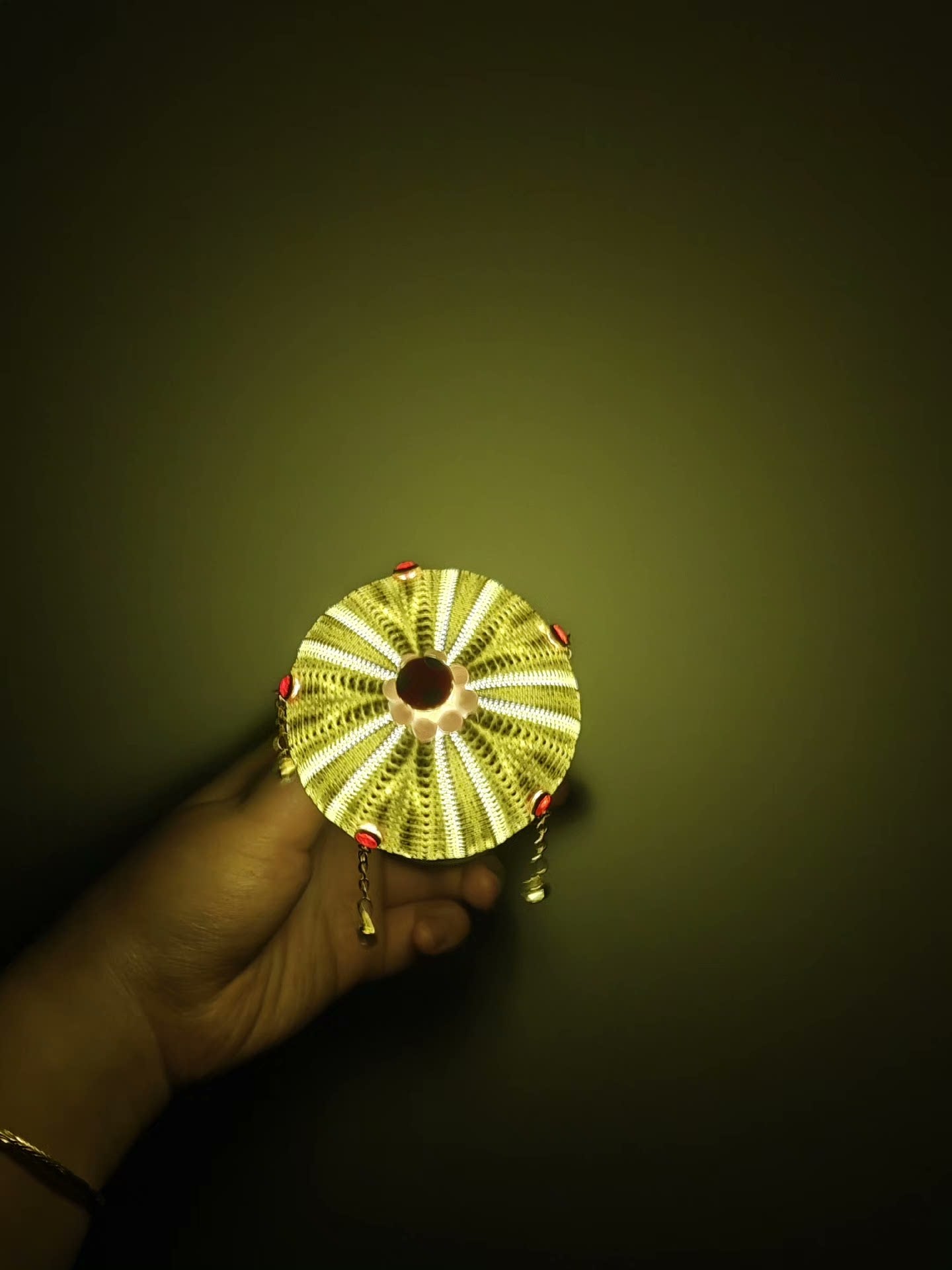 Out of the picture homemade sea urchin lamp
