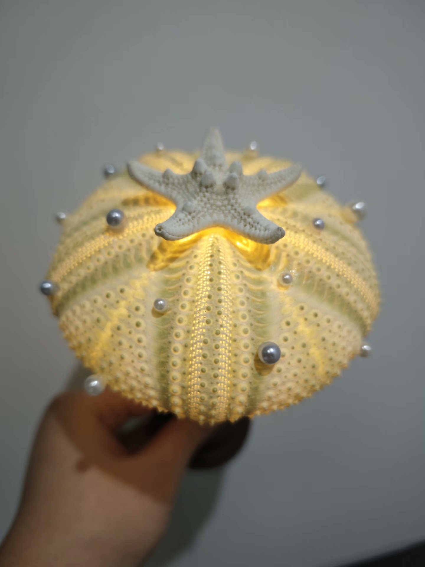 Out of the picture of the homemade sea urchin lamp, warm and beautiful night!