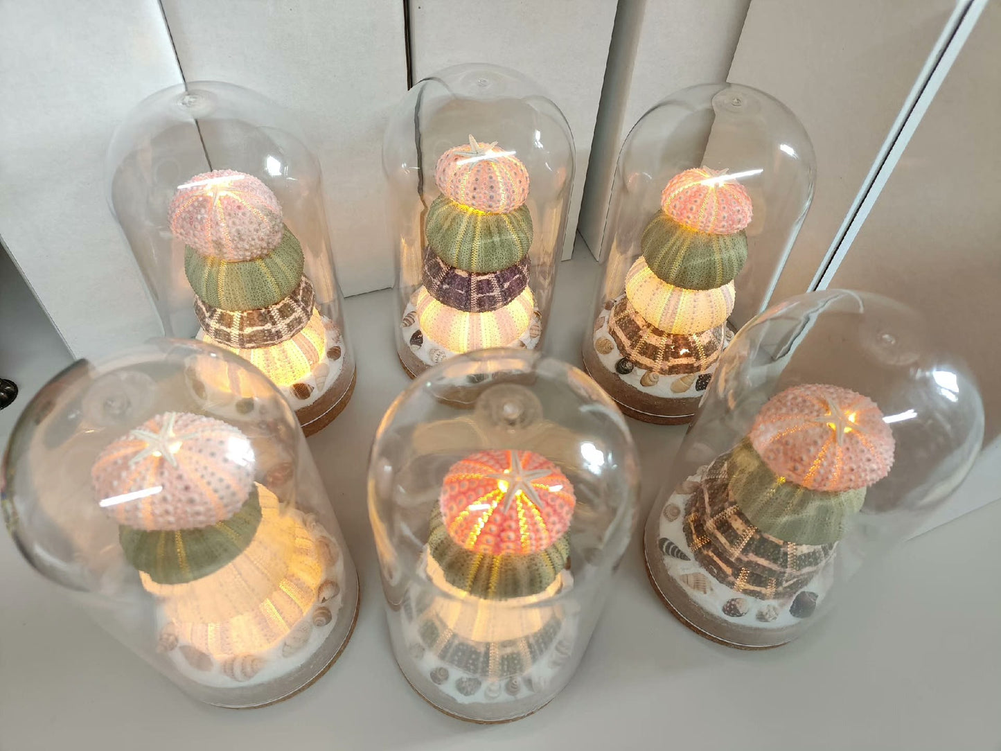 Sea urchin lamp