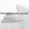 dropshipping-agent