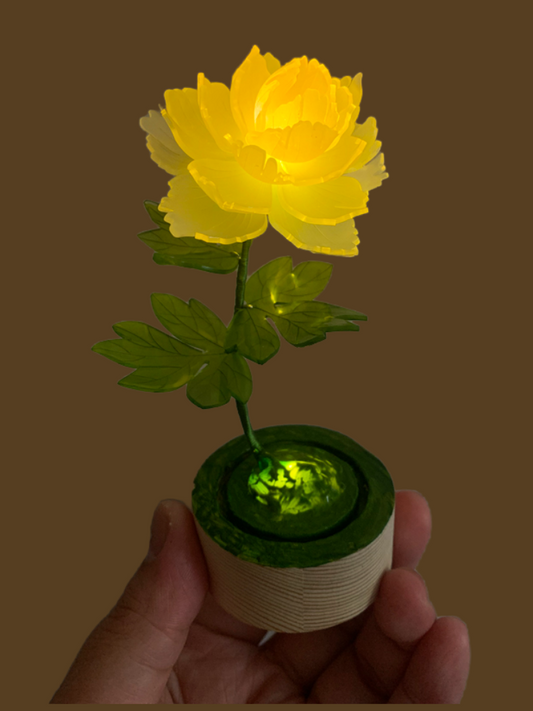Trojan Mushroom Heat Shrink Peony Flower Paeonia Night Light Handmade Plant Ornament Couple Girlfriend Creative Birthday Gift