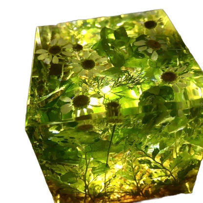 Kusama Cube Green Slamming Botanical Specimen Huang Si-Niang's House Arrangement Resin Crystal Drip Gel Dried Flower Holiday Gift