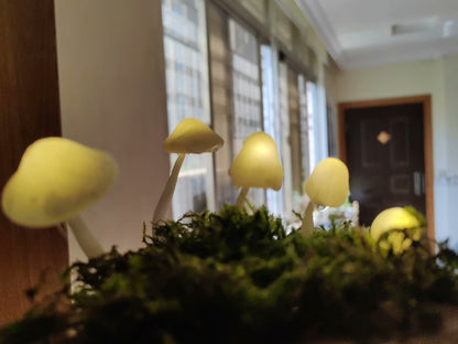 Fresh Moss Mushroom Lamp