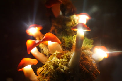 Mushroom night light