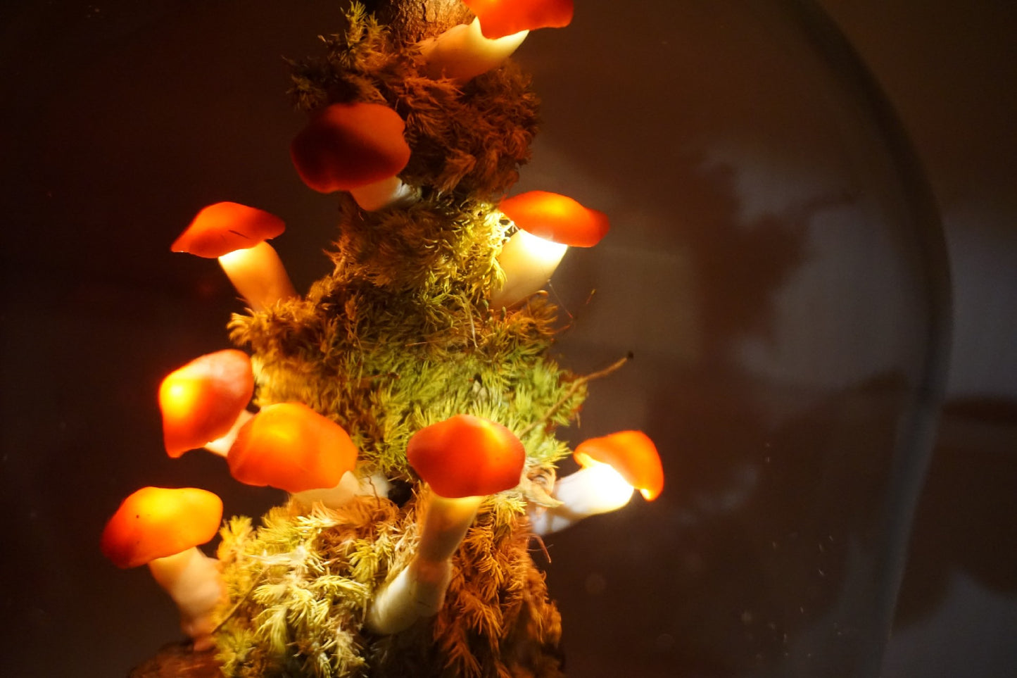 Mushroom night light