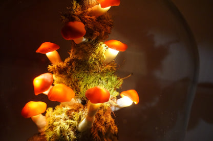 Mushroom night light