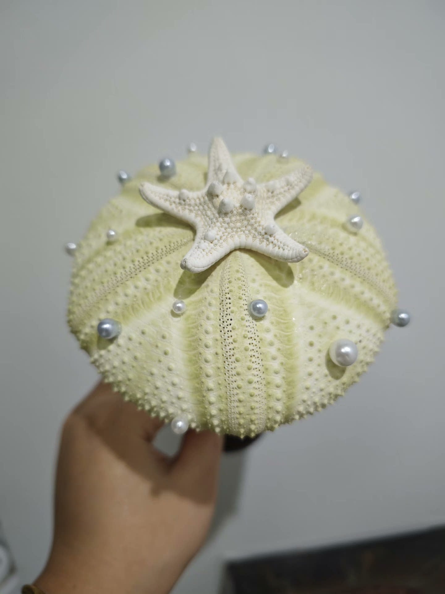 Out of the picture of the homemade sea urchin lamp, warm and beautiful night!