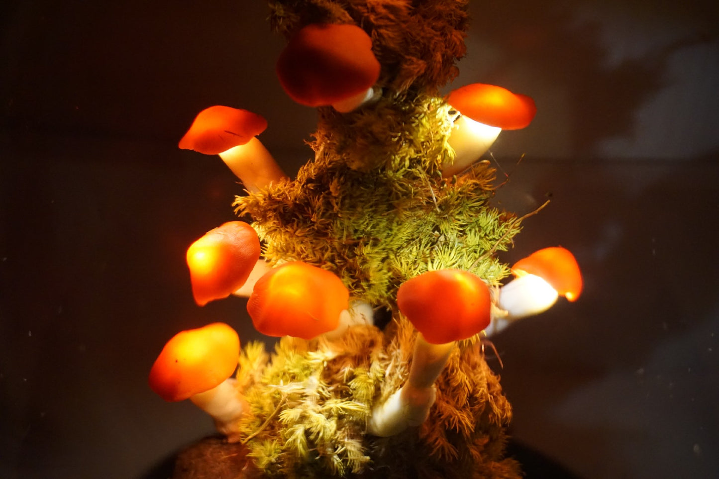 Mushroom night light