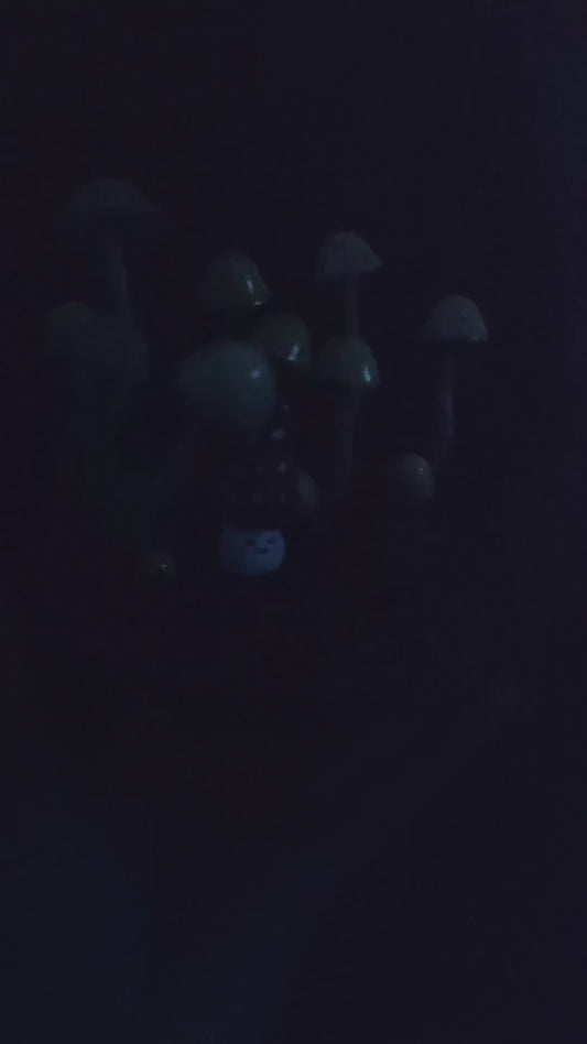Handmade resin clay small mushroom night light